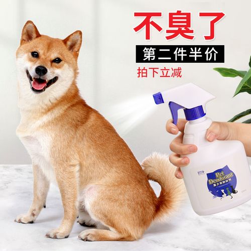 给狗狗消毒用什么好