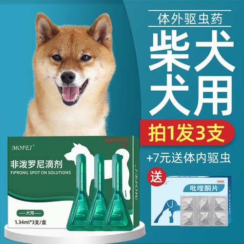 狗狗长满虫要吃什么药