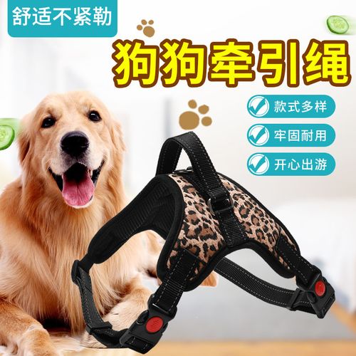 狗狗牵引怎么用