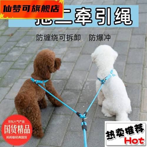 小比熊应该用什么样的狗绳