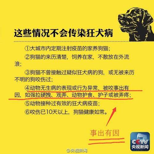 狂犬病狗狗怎么诊断