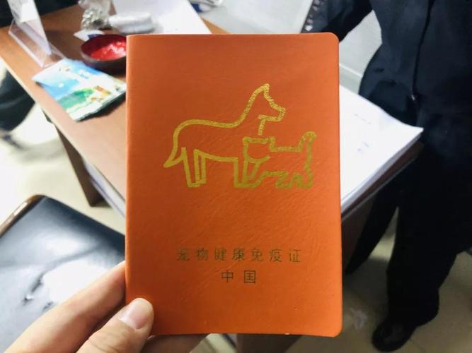 马鞍山德牧怎么办狗证