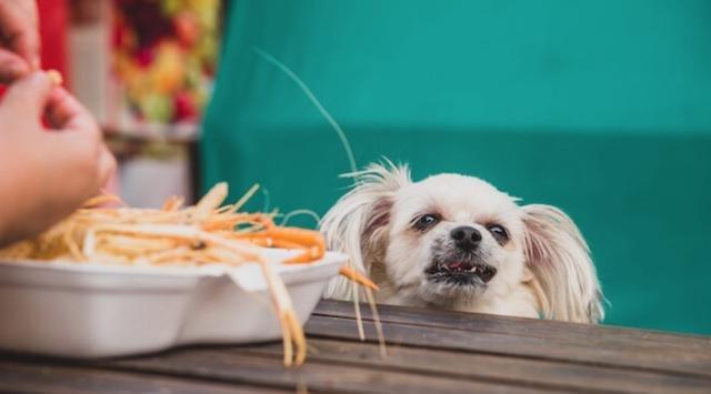 狗狗什么鱼肉都能吃吗