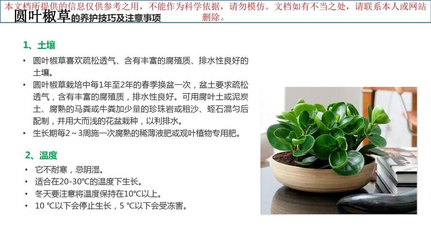 如何养护绿植