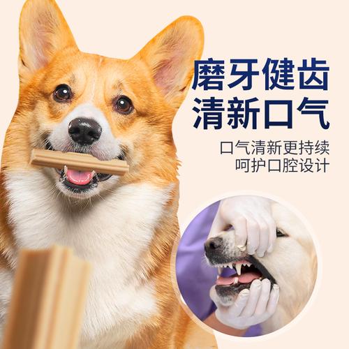 磨牙棒对狗狗有什么帮助