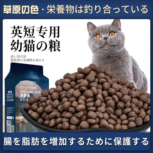 英短两个月吃什么猫粮好