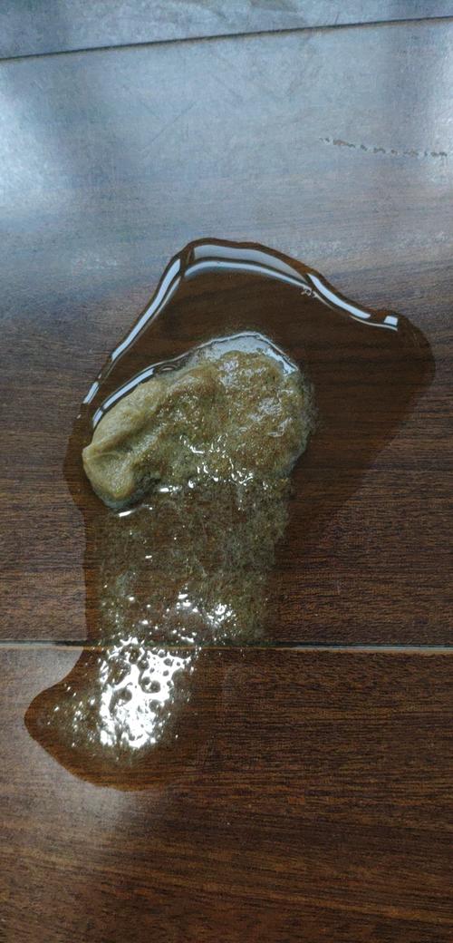 猫咪吃完东西就吐吃什么药