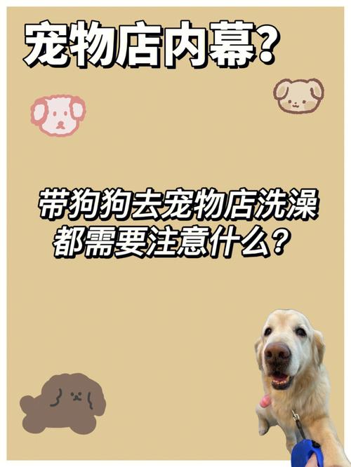 宠物店洗澡为什么关门