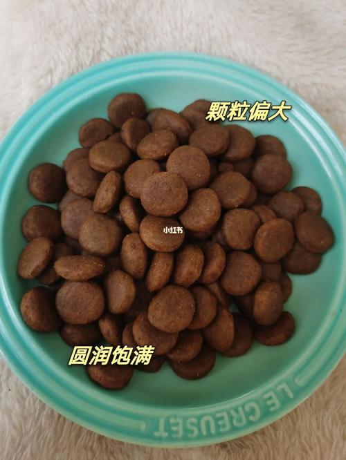 3个月狗狗吃什么狗粮