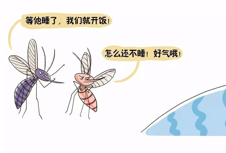 如何正确养蚊子