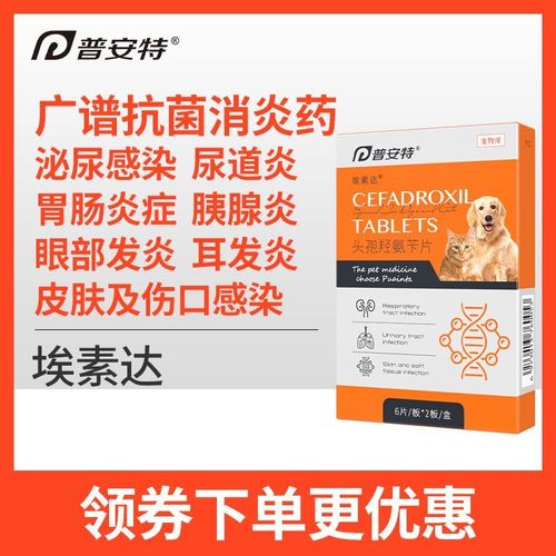 狗狗炎症吃什么药最好