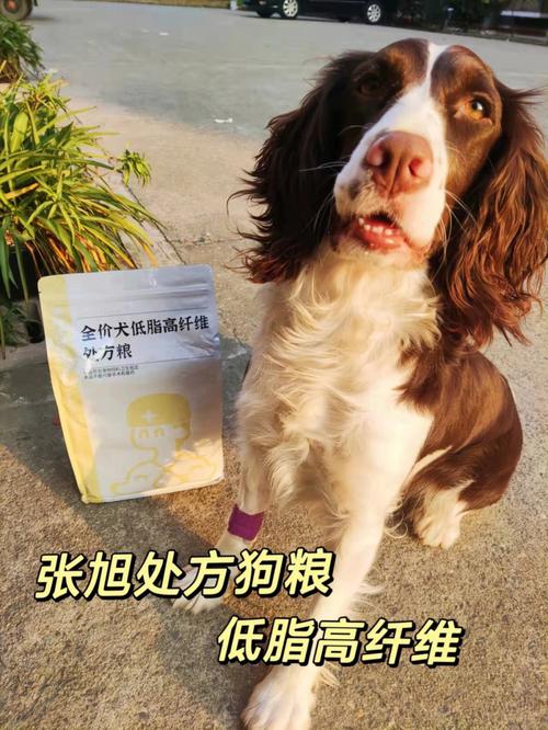 狗狗得胰腺炎吃什么
