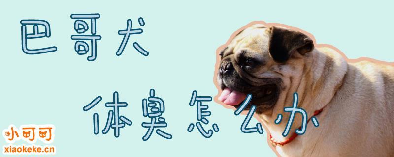狗狗的腥臭味怎么去除