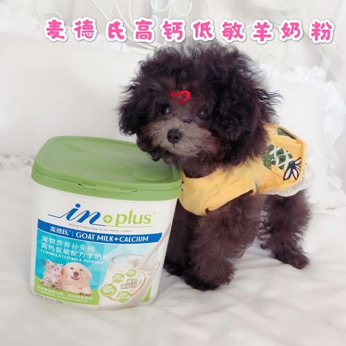泰迪幼犬羊奶粉怎么吃