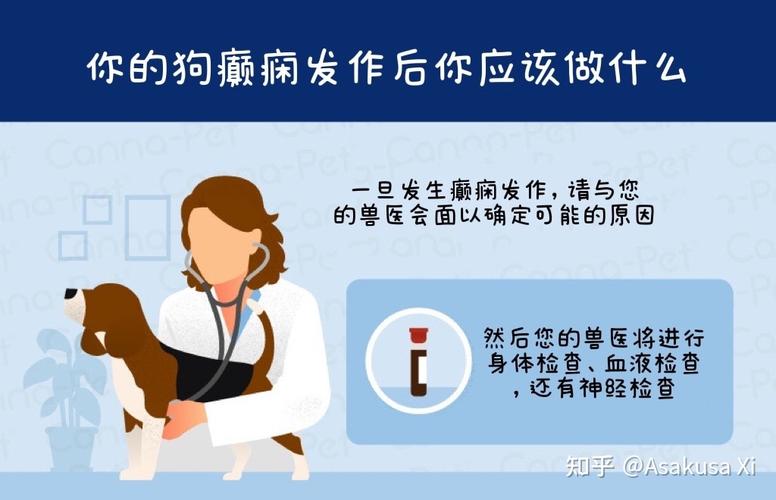 狗狗巅痫是怎么处理