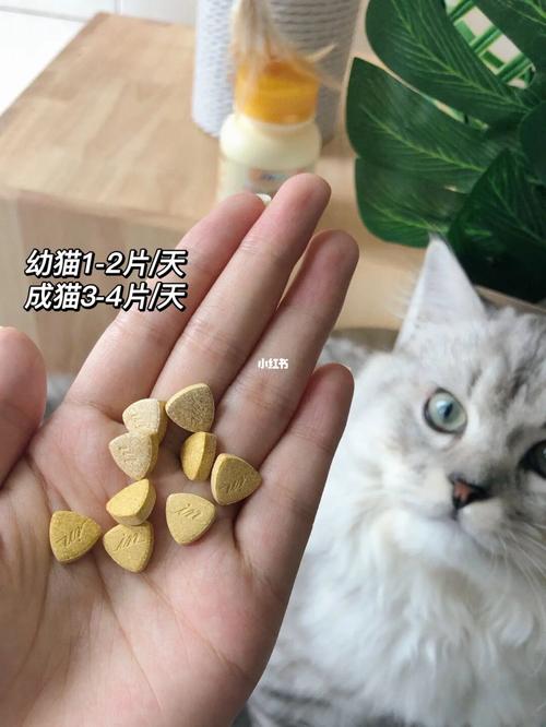 猫咪维生素a中毒怎么办