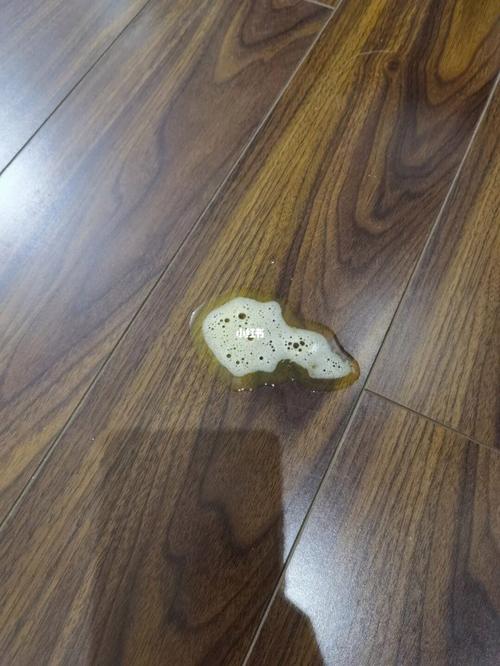 小狗总吐吃点什么原因