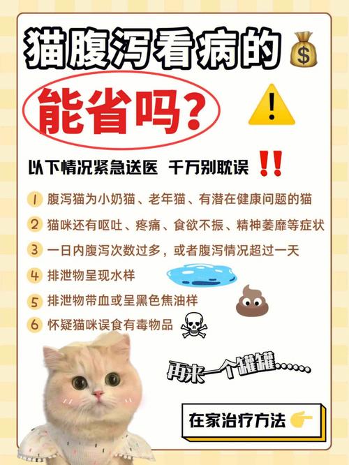 猫咪危险期有什么表现