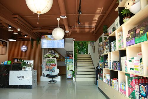 宠物店里有什么宠物
