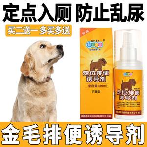 狗狗尿红吃什么药