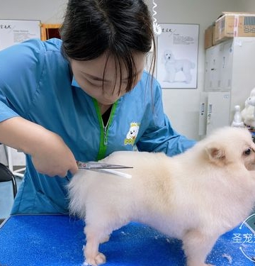什么大学有宠物专业学校