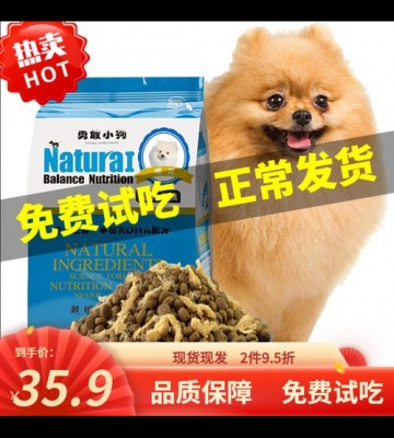 什么地方买狗买狗粮