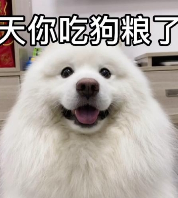 狗粮吃饱了是什么意思