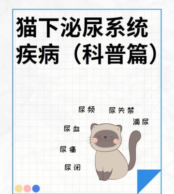 怎么判定猫咪得了泌尿疾病