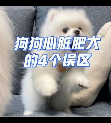 狗狗心脏增大了怎么办