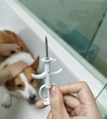 狗狗的芯片是什么样子