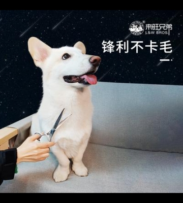 怎么能拿好宠物剪刀