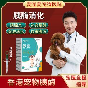 狗狗胰腺炎能用什么药