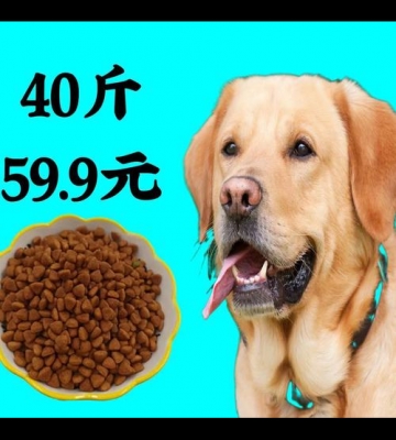 德牧都吃什么狗粮