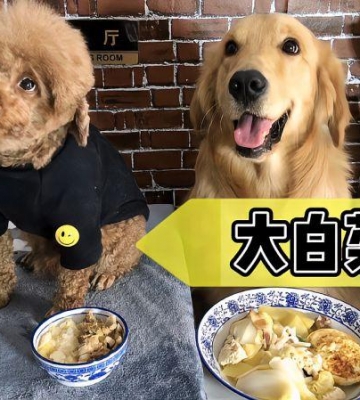狗狗可以吃什么土豆