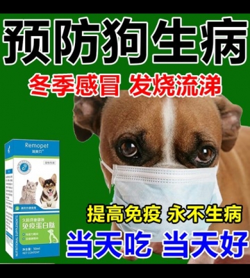 狗狗流鼻子感冒吃什么药