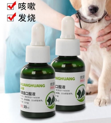 狗狗发烧喝什么药