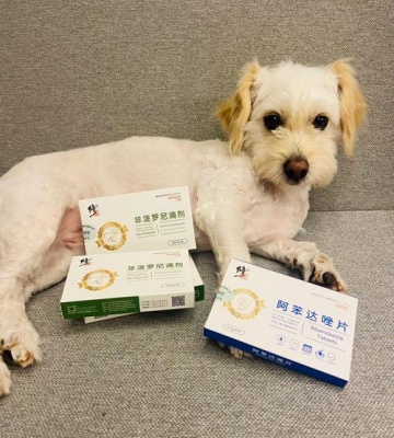 小狗驱虫用什么药最好