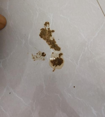 狗粮吃完拉稀怎么回事