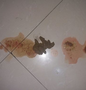 金毛尿频带血怎么回事