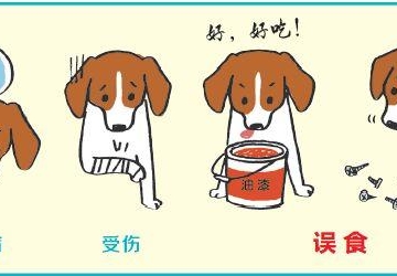 如何避免宠物意外