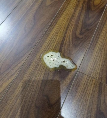 小狗有点吐了怎么回事