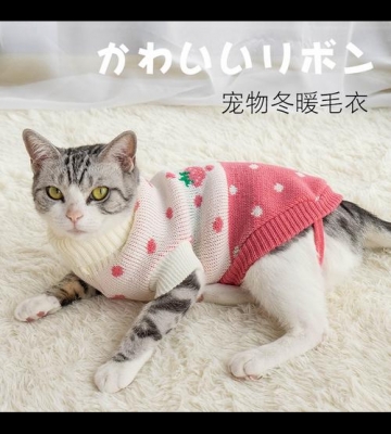 猫咪冬天怎么保暖