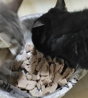 猫咪吃猪肝有什么好处