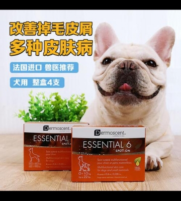 狗狗皮肤过敏吃什么