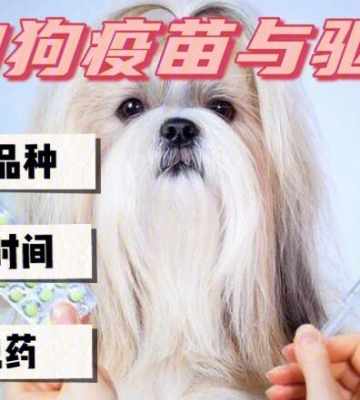 小狗狗每年都要打什么疫苗