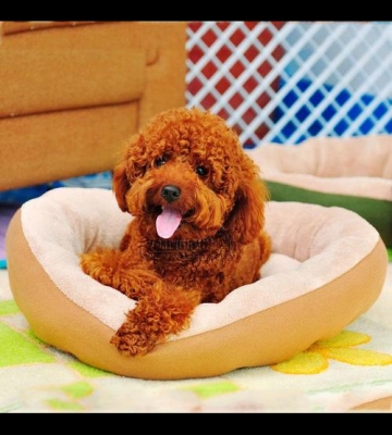 狗狗夏季用什么窝