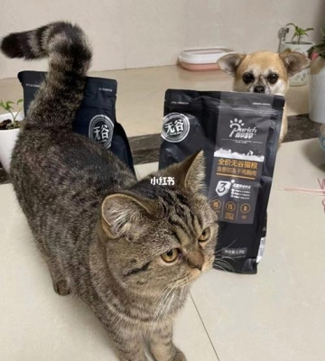 猫粮和狗粮有什么区别