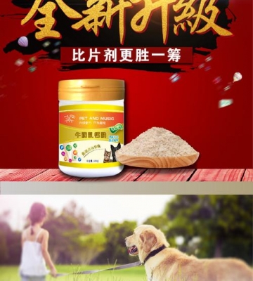 金毛补钙吃什么牌子的钙片