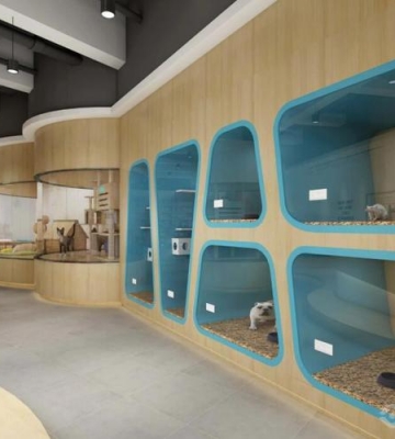 宠物店怎么发展加盟模式