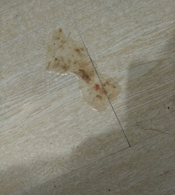 狗狗细小没发烧怎么办